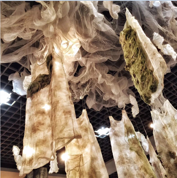 林捷‘纹.脉HAPHAZ...